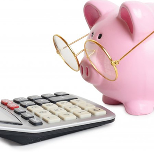Piggy bank with glasses staring at a calculator 